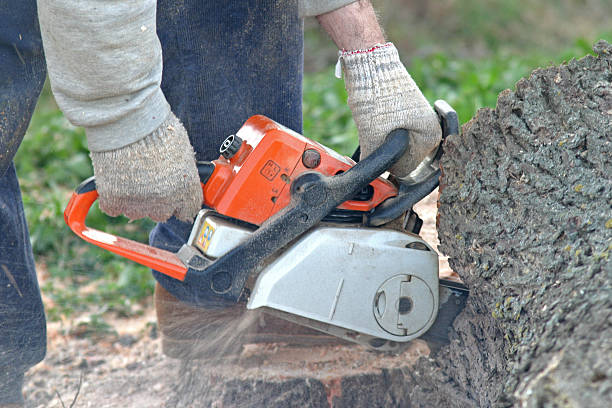 Best Soil Testing and Treatment  in Long Beach, NY